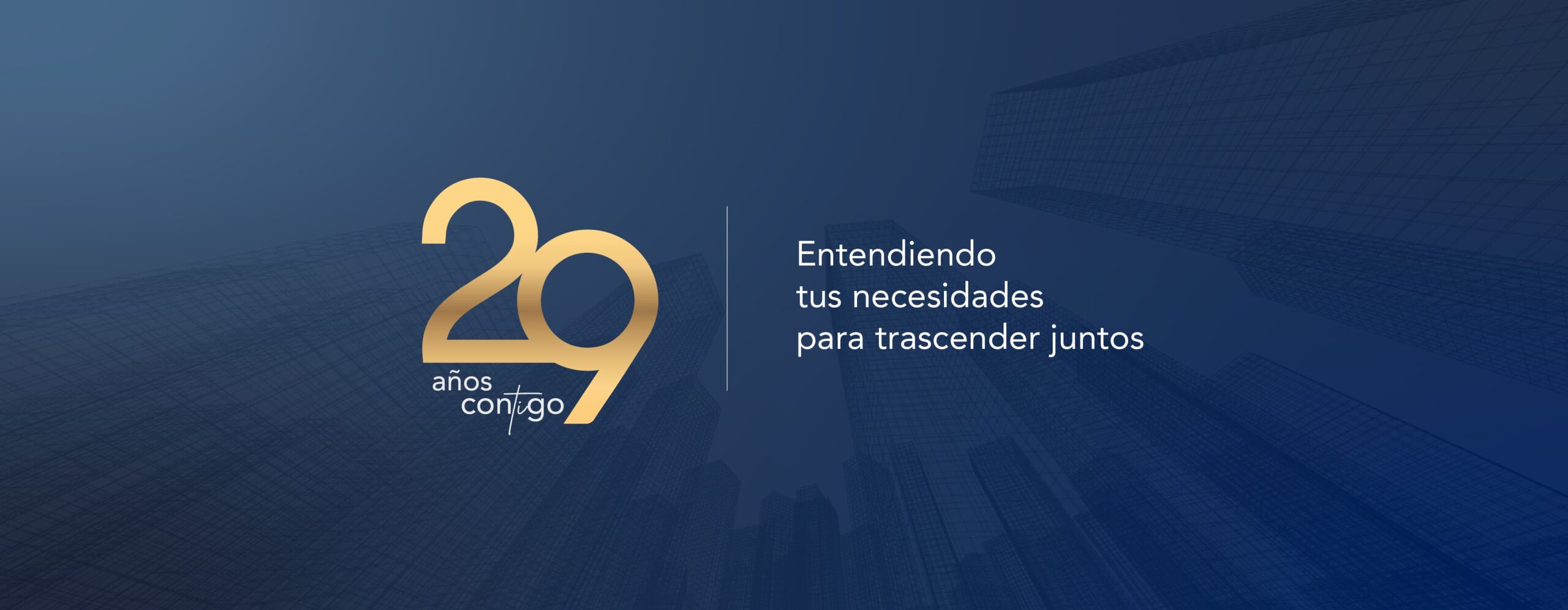 Aniversario 29 CI_Banner Sitio Web comprimido